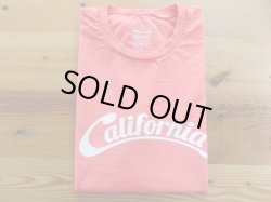 画像1: MIXTA 2022SSプリントTシャツ　CALIFORNIA       WATER MELON           