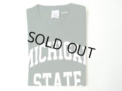 画像1: CHAMPION   T1011ロングスリーブTシャツ　　　　MICHIGAN(グリーン)