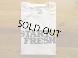 画像1: MIXTA 2025 SSプリントTシャツ　  MIX TIGER       Natural