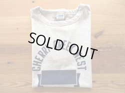 画像1: CHAMPION   　TRUE TO ARCHIVES  　88T-SHIRT          ( OX グレー×ネイビー)