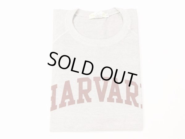 画像1: グッドオン×HAVARD UNIVERSITY ベースボールTシャツ    P-ASH (1)