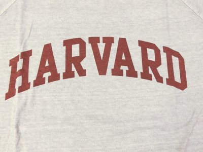 画像2: グッドオン×HAVARD UNIVERSITY ベースボールTシャツ    P-ASH