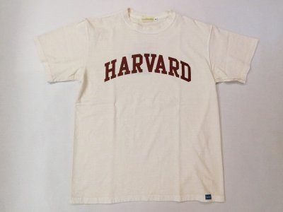 画像1: グッドオン×HAVARD UNIVERSITY S/S Tシャツ    P-NATURAL