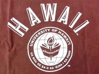 画像2: グッドオン× UNIVERSITY OF HAWAII ベースボールTシャツ    P-BORDEAUX   