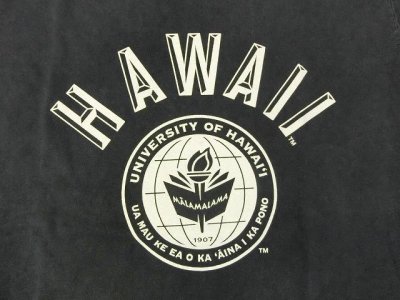 画像2: グッドオン× UNIVERSITY OF HAWAII    半袖Tシャツ    P-NAVY   