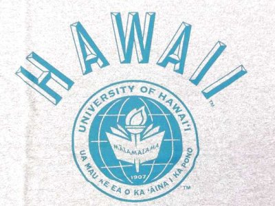 画像2: グッドオン× UNIVERSITY OF HAWAII    半袖Tシャツ      メタル