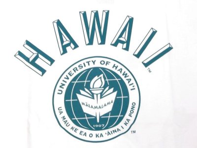 画像2: グッドオン× UNIVERSITY OF HAWAII ベースボールTシャツ      WHITE