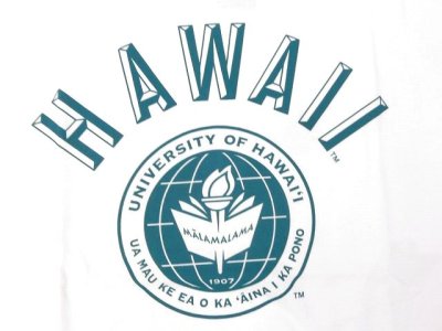 画像2: グッドオン× UNIVERSITY OF HAWAII    半袖Tシャツ    ホワイト   