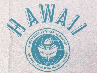 画像2: グッドオン× UNIVERSITY OF HAWAII ベースボールTシャツ    METAL   