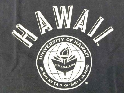 画像2: グッドオン× UNIVERSITY OF HAWAII ベースボールTシャツ    P-NAVY   