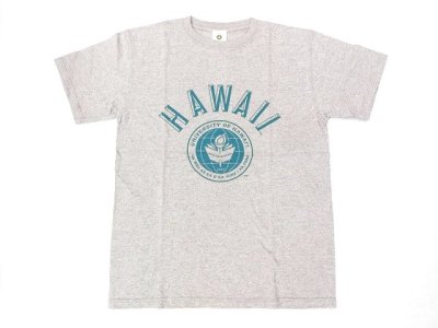 画像1: グッドオン× UNIVERSITY OF HAWAII    半袖Tシャツ      メタル