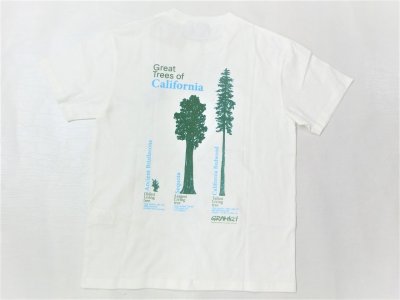 画像1: GRAMICCI    オーガニックコットン プリントS/S TEE        ホワイト(CALI TREES)