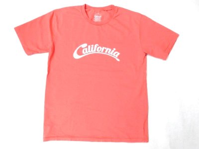 画像1: MIXTA 2022SSプリントTシャツ　CALIFORNIA       WATER MELON           