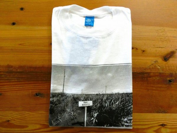画像1: Good On　PINEAPPLE PHOTE 　プリントTシャツ　　　WHITE (1)