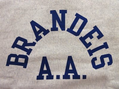 画像2: CHAMPION REVERSE WEAVE 2ndパテントモデル クルーネックスウェット シルバーグレー×ネイビー