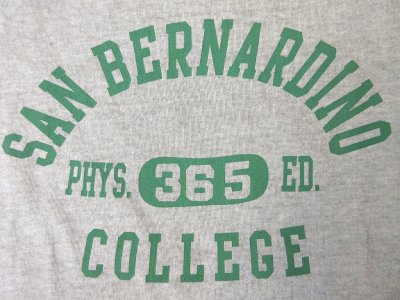画像2: グッドオン S/S SAN BERNARDINO リンガーTシャツ P-ASH